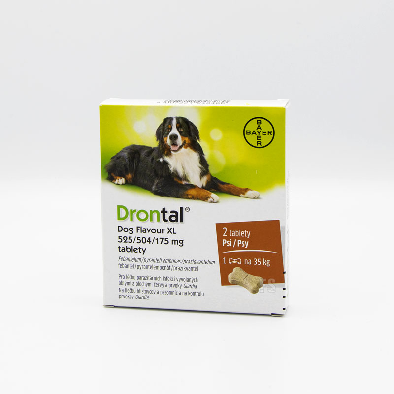 drontal large dog flavour
