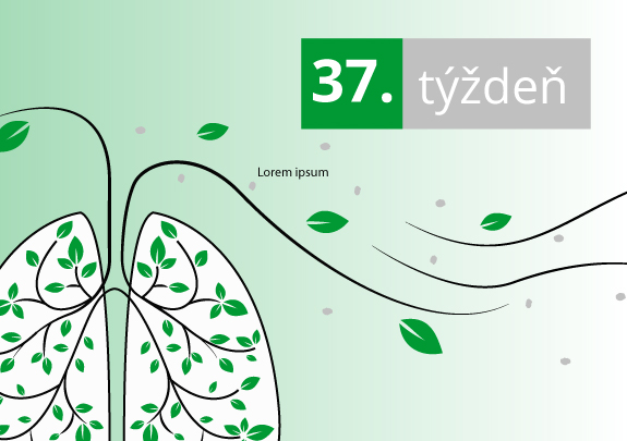 Peľová situácia v Bratislave od 13.9. do 19.9.2021 (37. týždeň)